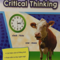 PDF | Analogies for critical thinking 3, Teacher created resources (song ngữ) PDF | Analogies for critical thinking 3, Teacher created resources (song ngữ)