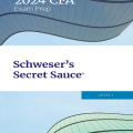 PDF | CFA 2024 Level 1 Schweser's Secret Sauce (CFA Exam Prep)