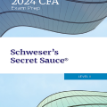 PDF | CFA 2024 Level 2 Secret Sauce, Schweser's Secret Sauce