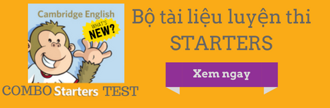 Starters mới nhất
