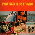 PDF | Dicionario Pratico ilustrado (Từ điển thực hành minh họa tiếng Bồ Đào Nha)