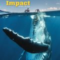 PDF + Mp3 + Videos | Impact Second edition Level Starter Student Book (American English)