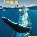 PDF + Mp3 | Impact Second edition Level Starter Workbook (American English) PDF + Mp3 | Impact Second edition Level Starter Workbook (American English)