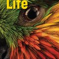 PDF + resources | Life Beginner Teacher's Book 3rd edition Teacher's Book (British English)