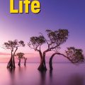 PDF + Mp3 + Videos | Life Upper-Intermediate Student Book 3rd edition Student Book (British English)