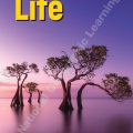 PDF + resources | Life Upper-Intermediate Teacher's Book 3rd edition Teacher's Book (British English)