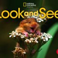 PDF + Mp3 + Videos | Look and See 1 Student Book + Mp3 + Videos, Susannah Reed