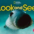 PDF + Mp3 + Videos | Look and See 3 Student book, Susannah Reed