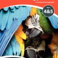 Review PDF | MYP Biology a Concept Based Approach, IB MYP SERIES, Andrew Allott, David Mindorff