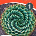 (Review PDF) | MYP Mathematics 1, A concept-based approach, David Weber, Talei Kunkel, Harriet Simand, Justin Medved