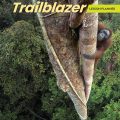 PDF | Trailblazer 1 Lesson Planner (Teacher's book) + Assessment (Tests)