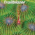 PDF + Mp3 | Trailblazer 4 Student Book