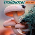 (sách giáo viên) Trailblazer Starter Lesson Planner (Teacher's book) + Asessment (Tests)
