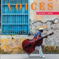 PDF + Mp3 | Voices 3 Pre-Intermediate A2-B1 Teacher's book